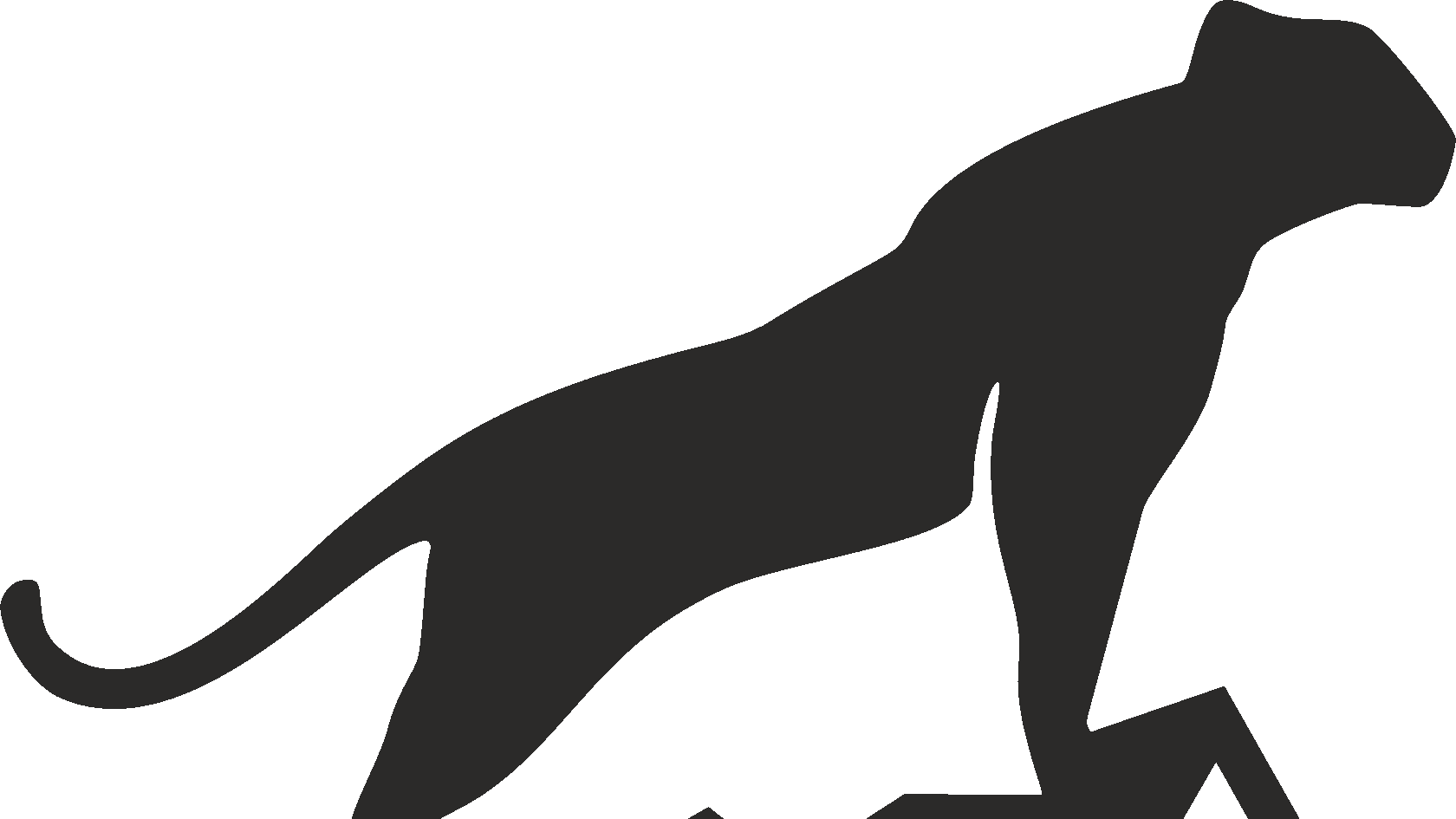 пантерра групп, пан-терра групп