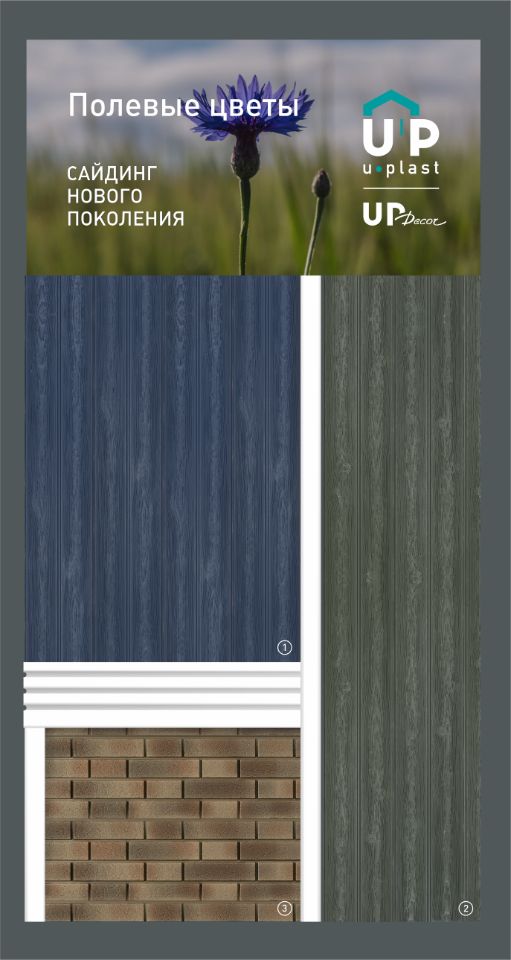 Полевые цветы