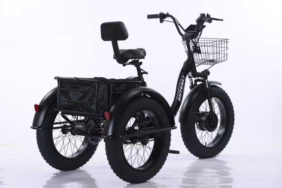 ТРЕХКОЛЕСНЫЙ ЭЛЕКТРОВЕЛОСИПЕД SHTENLI TRIKE PRO LI-ON 48V10.4A
