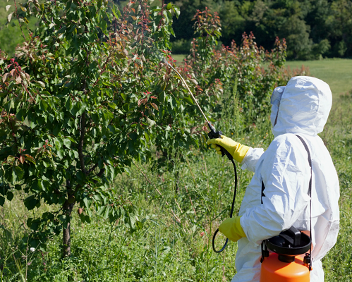 ОБРАБОТКА САДА ОТ БОЛЕЗНЕЙ И ВРЕДИТЕЛЕЙ - САДОВНИК.БЕЛ