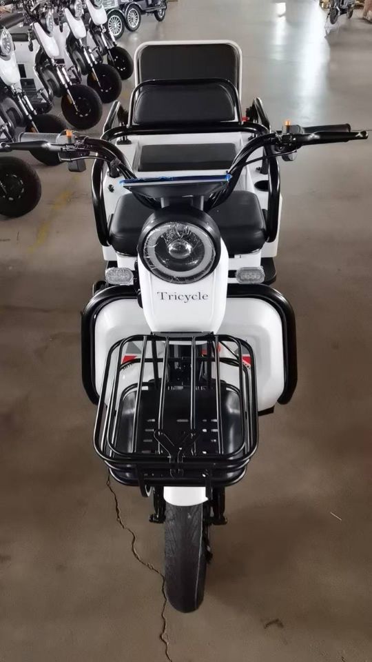 ЭЛЕКТРИЧЕСКИЙ ТРИЦИКЛ SHTENLI MODEL 34 SLA 20АЧ 60В