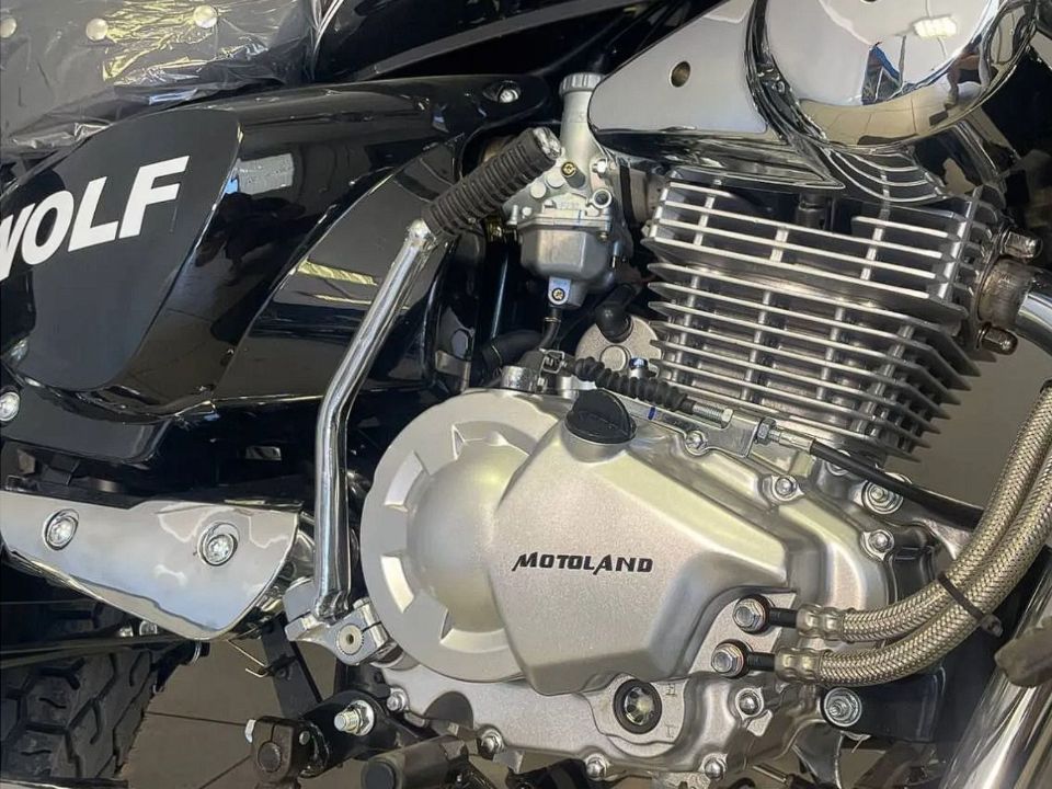 MOTOLAND WOLF 300