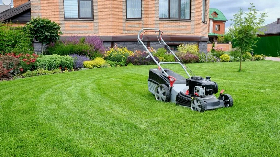 ПОКОС СТРИЖКА ГАЗОНА - САДОВНИК.БЕЛ