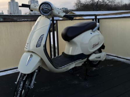 ЭЛЕКТРОСКУТЕР SHTENLI MODEL 60