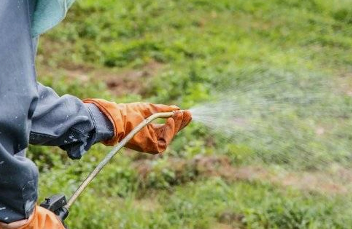 ОБРАБОТКА ГАЗОНА - САДОВНИК.БЕЛ