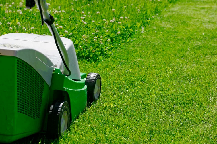 ПОКОС СТРИЖКА ГАЗОНА - САДОВНИК.БЕЛ