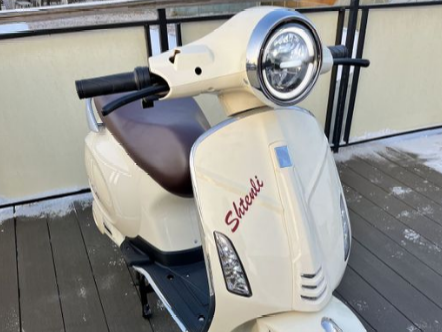 ЭЛЕКТРОСКУТЕР SHTENLI MODEL 60
