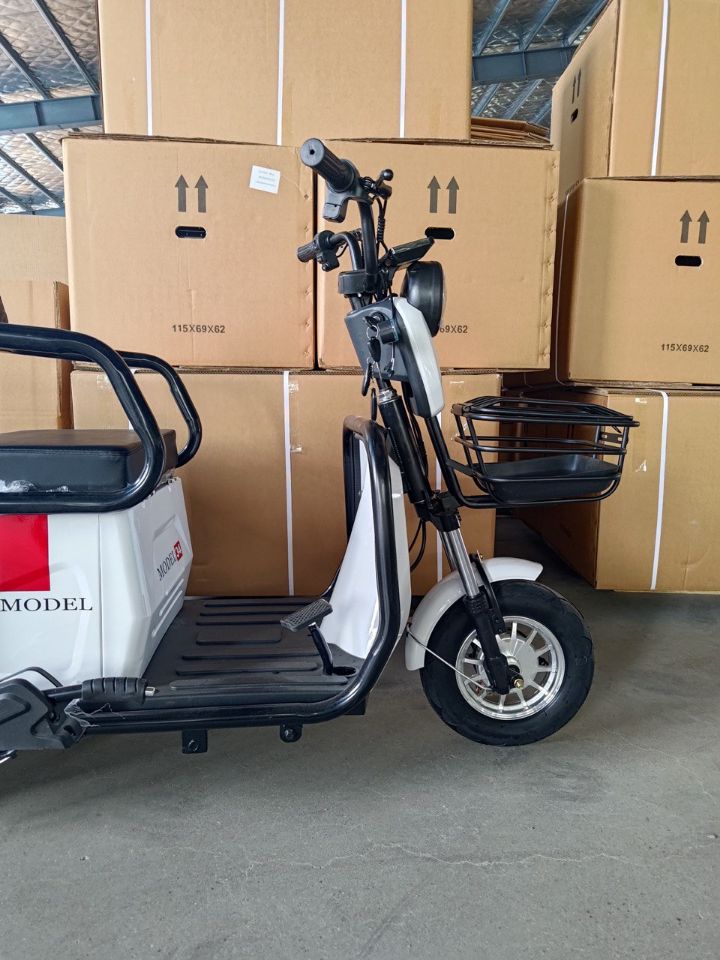 ЭЛЕКТРИЧЕСКИЙ ТРИЦИКЛ SHTENLI MODEL 34 48V