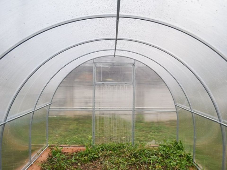 ТЕПЛИЦА ИЗ ПОЛИКАРБОНАТА 25Ц 3 НА 6 МЕТРОВ - БАЙК.БЕЛ