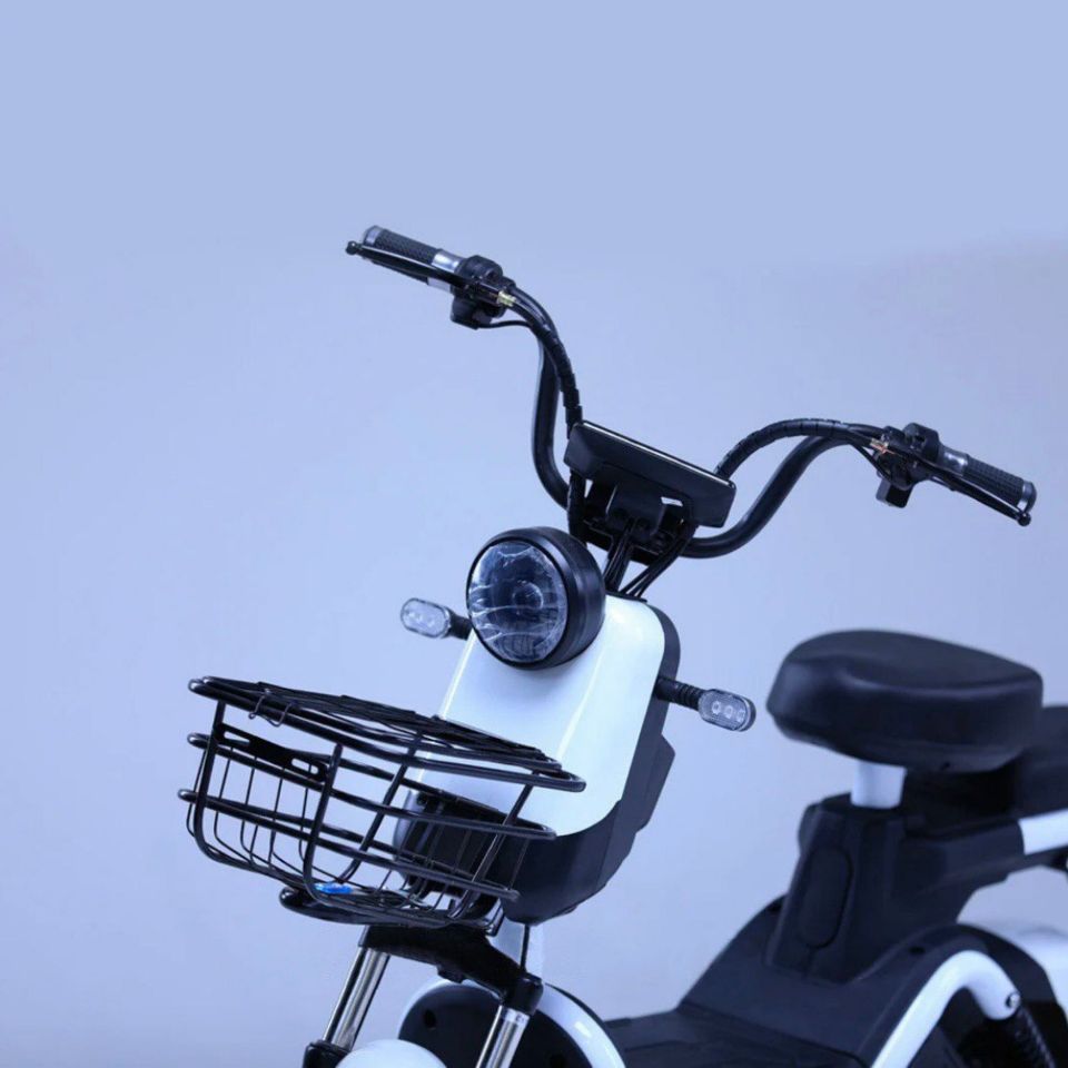 ЭЛЕКТРОСКУТЕР SHTENLI MODEL 21 PERFORMANCE