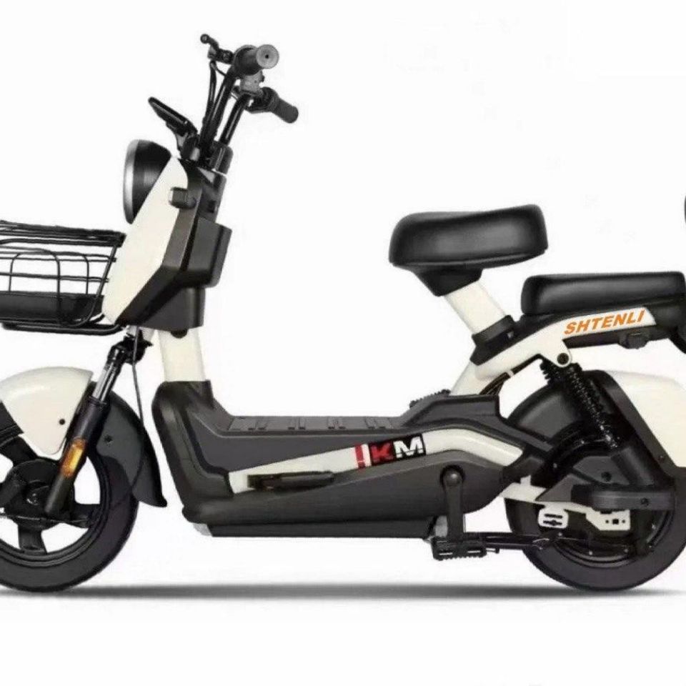 ЭЛЕКТРОСКУТЕР SHTENLI MODEL 21 PERFORMANCE