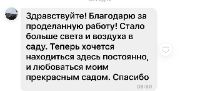 ОТЗЫВ АЛЕКСАНДР, ОБРЕЗКА ДЕРЕВЬЕВ - САДОВНИК.БЕЛ