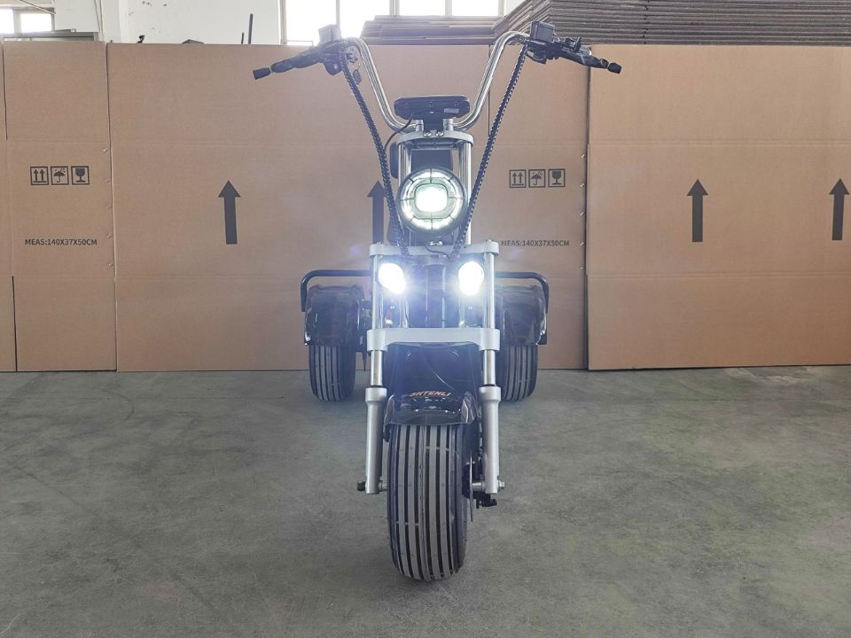 ЭЛЕКТРОСКУТЕР ТРИЦИКЛ SHTENLI MODEL 104 MINI