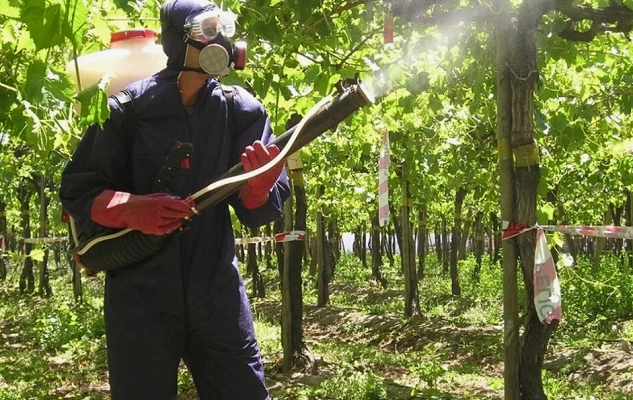 ОБРАБОТКА САДА ОТ БОЛЕЗНЕЙ И ВРЕДИТЕЛЕЙ - САДОВНИК.БЕЛ