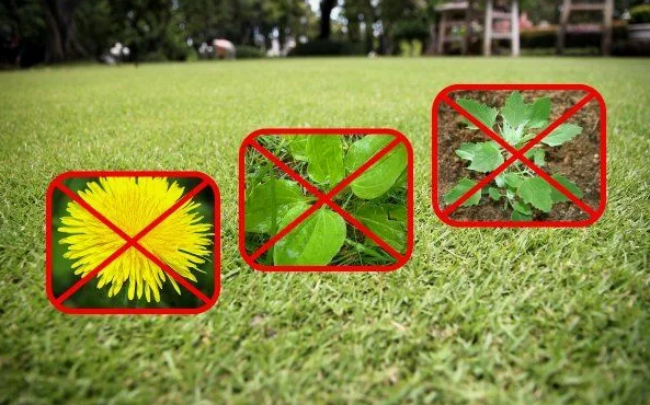 ОБРАБОТКА ГАЗОНА - САДОВНИК.БЕЛ