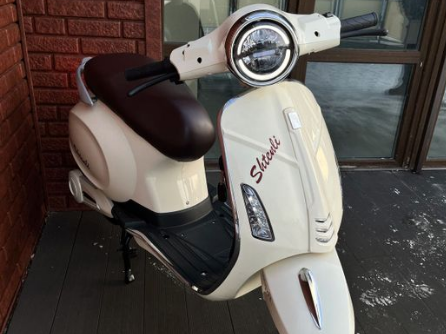 ЭЛЕКТРОСКУТЕР SHTENLI MODEL 60