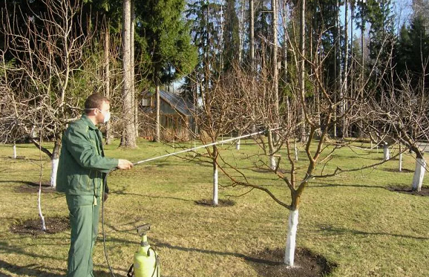ОБРАБОТКА САДА ОТ БОЛЕЗНЕЙ И ВРЕДИТЕЛЕЙ - САДОВНИК.БЕЛ