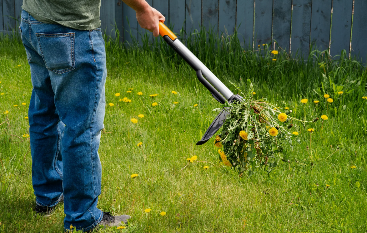 ОБРАБОТКА ГАЗОНА - САДОВНИК.БЕЛ
