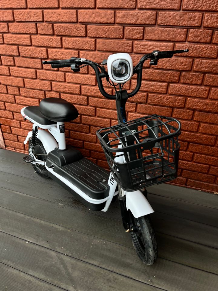 ЭЛЕКТРИЧЕСКИЙ ТРИЦИКЛ SHTENLI MODEL 34 48V