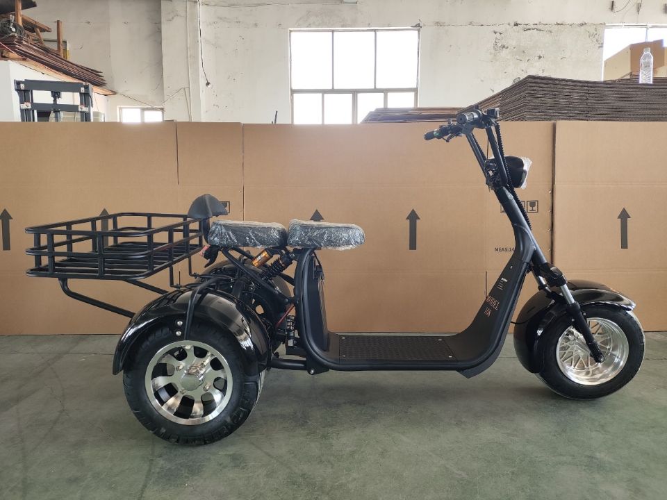 ЭЛЕКТРОСКУТЕР ТРИЦИКЛ SHTENLI MODEL 108