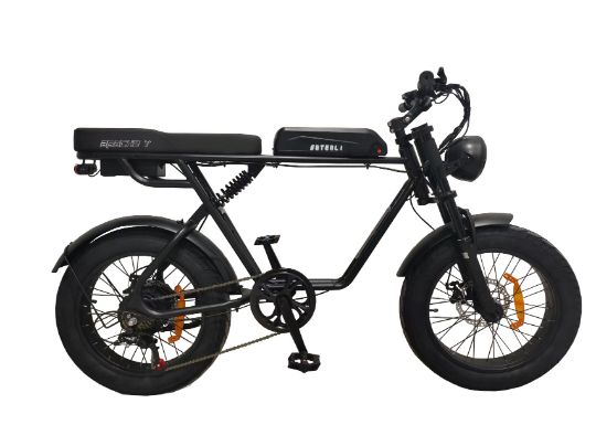 ЭЛЕКТРОВЕЛОСИПЕД SHTENLI APACHE Y 48V10.4A