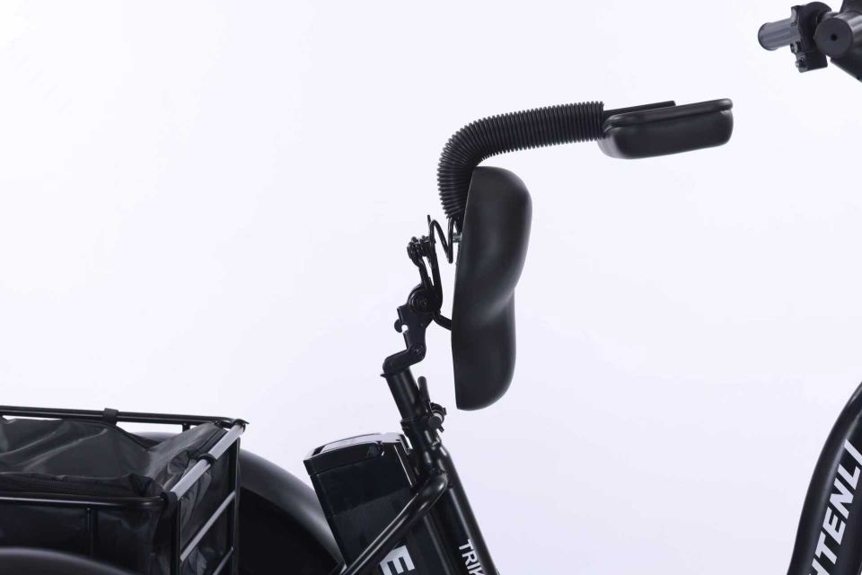 ТРЕХКОЛЕСНЫЙ ЭЛЕКТРОВЕЛОСИПЕД SHTENLI TRIKE PRO LI-ON 48V10.4A