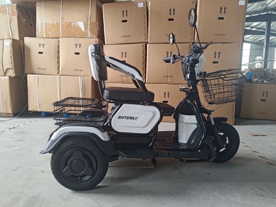 ЭЛЕКТРИЧЕСКИЙ ТРИЦИКЛ SHTENLI MODEL 30 SLA (12АЧ 48В)