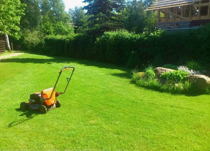 ПОКОС СТРИЖКА ГАЗОНА - САДОВНИК.БЕЛ