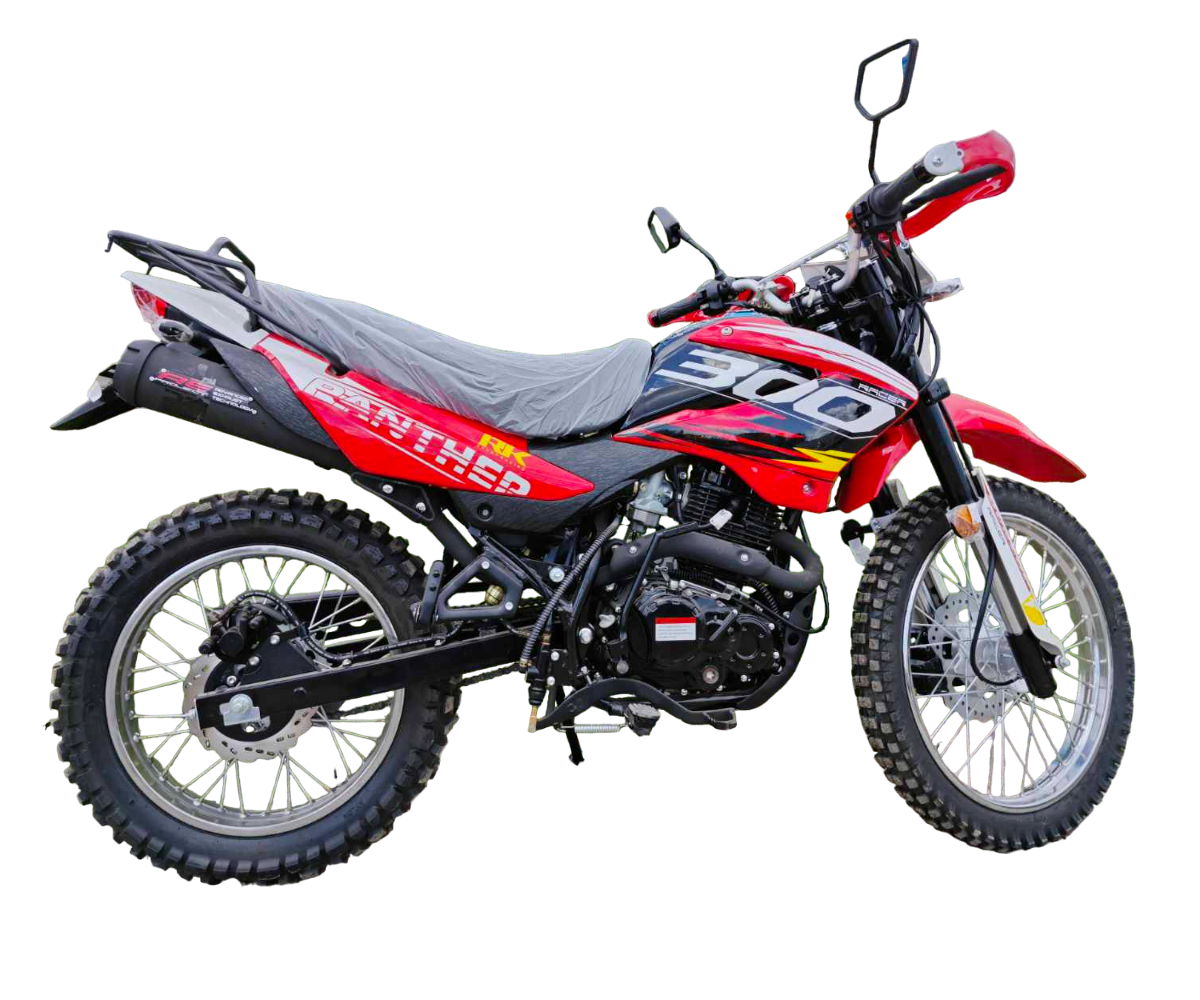 RACER RC 300-GY8B BROS