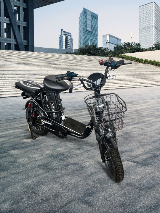ЭЛЕКТРОВЕЛОСИПЕД SHTENLI MONSTER V-12 48V20A