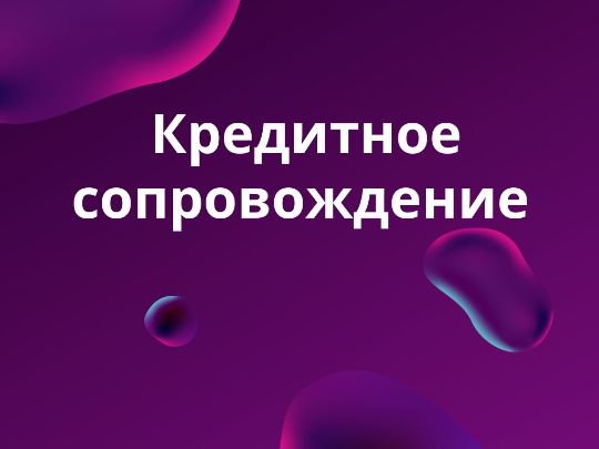 Подготовка документов для банков, переговоры по ставкам