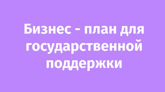 Бизнес-план для государственной поддержки