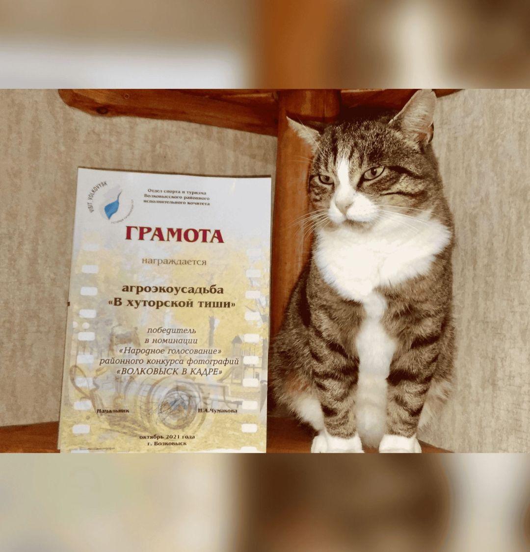 Победитель - Народное голосование - Волковыск в кадре - Агроэкоусадьба года В хуторской тиши Utsishy