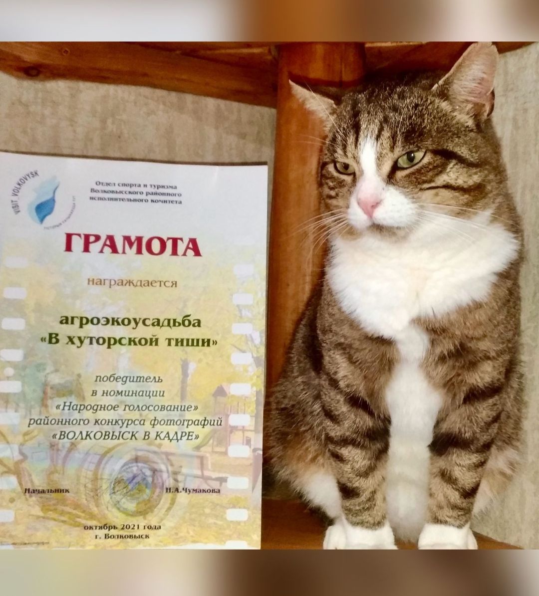 Победитель - Народное голосование - Волковыск в кадре - Агроэкоусадьба года В хуторской тиши Utsishy
