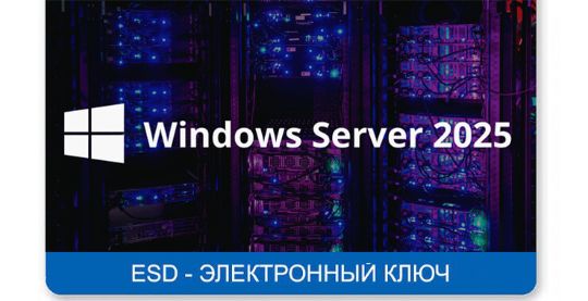 Microsoft Windows Remote Desktop Services 2019 цифровая лицензия, электронный ключ