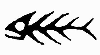 СНАСТИ ЗДАСЬТЕ! Kaida