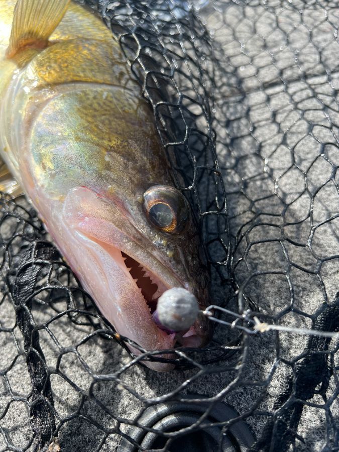 рыбалка на озере