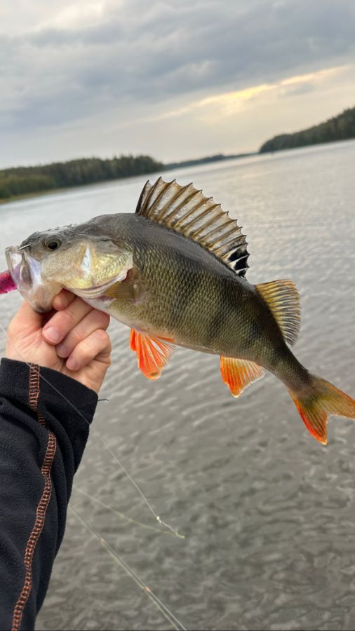 рыбалка на озере