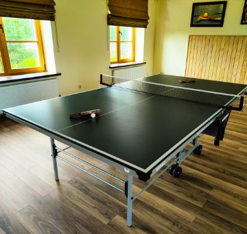 настольный теннис
