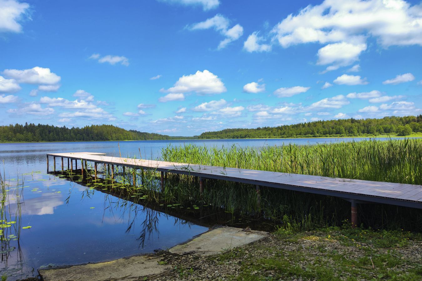 берег озера