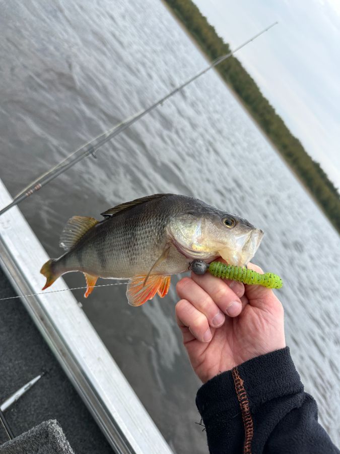 рыбалка на озере