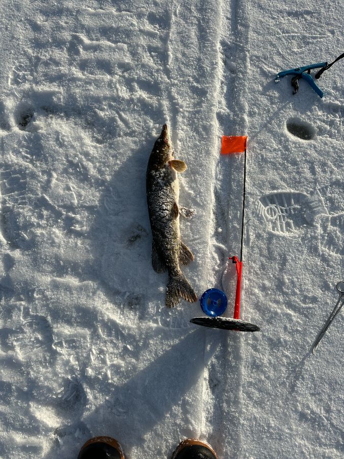 рыбалка на озере