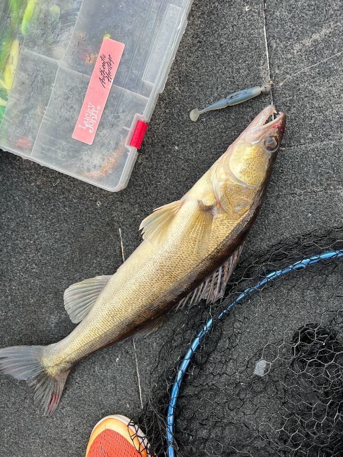 рыбалка на озере