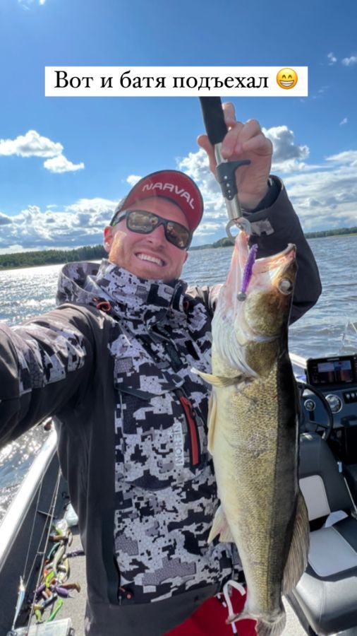 Лосиный рог