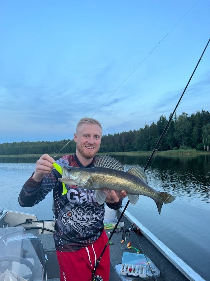 Лосиный рог