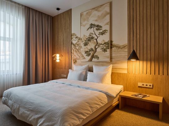 Dzen Hotel номер фото