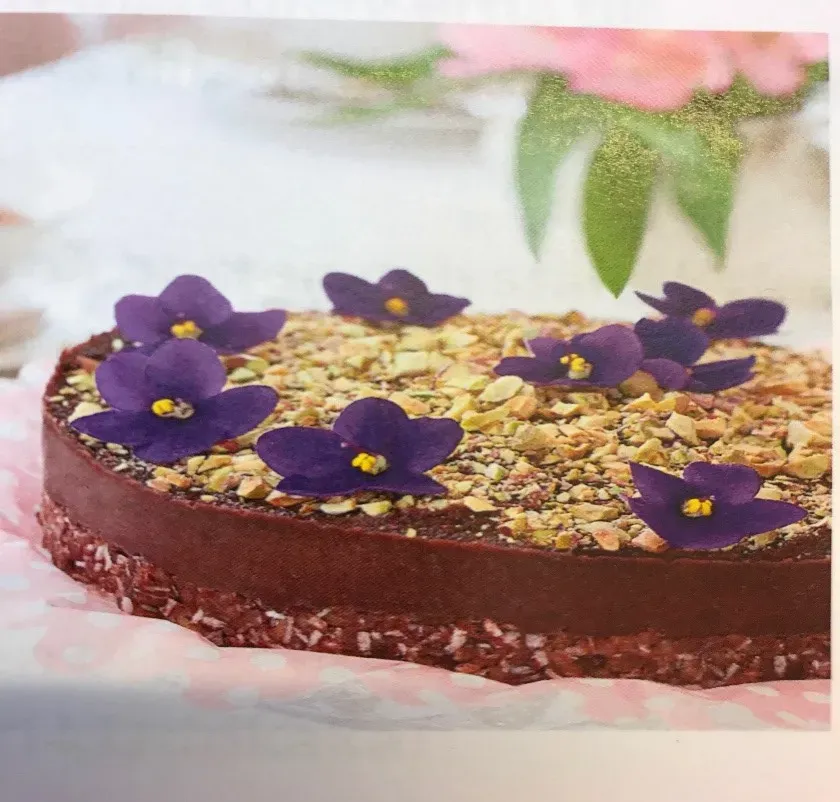 Профессиональный блендер HALLDE SB-4 - прямой поставщик МБР ПЛЮС