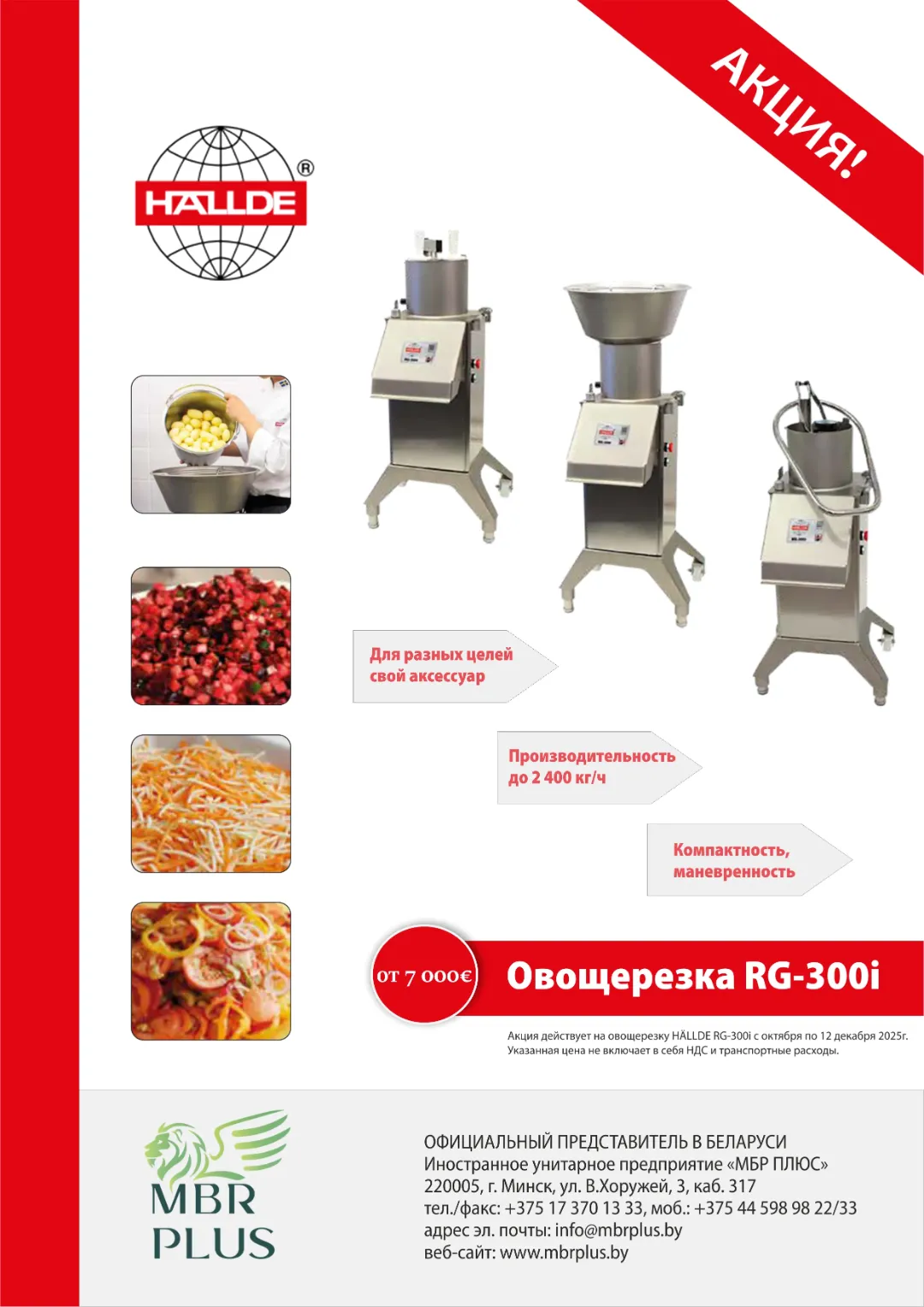 Овощерезка RG-300i HALLDE в Беларуси - прямой поставщик МБР ПЛЮС