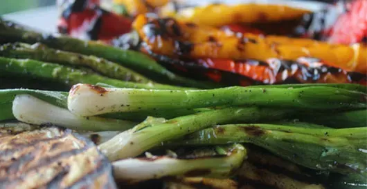 Камера выпечки PizzaMaster PM — шамотный камень и равномерный нагрев