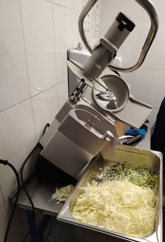 Hallde RG-250 diwash